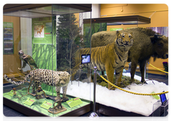 The exhibition, Russian Nature Reserves: 100 Years of History, at the State Darwin Museum
