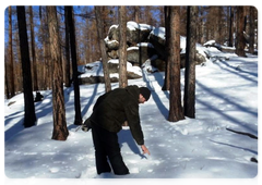 Проведение зимних учётов проводится по следам животных, оставленным на снегу