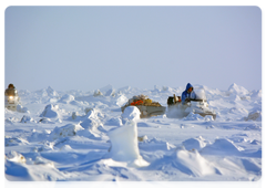 Polar Bear Patrol on the ice in the Kolyma Gulf