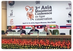 В Индии прошла международная конференция по сохранению тигров
