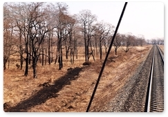 «Земля леопарда» и «РЖД» объединили усилия в борьбе с лесными пожарами