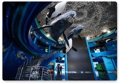 Oceanarium on Russky Island to open for visitors