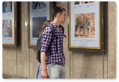 Photos of Amur tigers go on display at the Moscow Metro