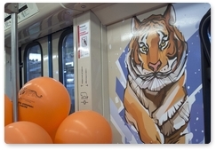 Amur tiger in the Moscow Metro