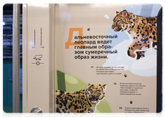 Leopard infographics inside a Striped Express carriage