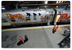 Wild cat train arrives in Vladivostok on Tiger Day
