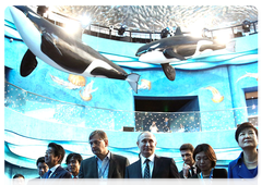 Visiting the Primorye Oceanarium of the Far Eastern branch of the Russian Academy of Sciences