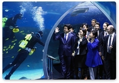 Vladimir Putin visited the Primorye Oceanarium