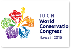 IUCN World Conservation Congress discusses rare cat conservation