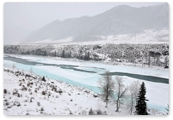 В Республике Алтай начинаются учёты снежного барса