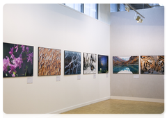 A photo exhibition as part of Russia’s Primeval Nature festival
