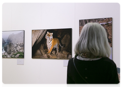 A visitor to the photo exhibition at Russia’s Primeval Nature festival