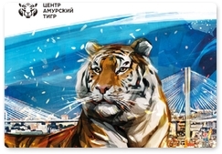 Amur Tiger Centre presents annual report