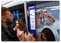 Amur tiger images can be seen in Moscow Metro