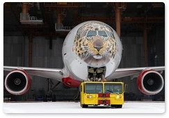 Far Eastern leopard decorates Rossiya aircraft