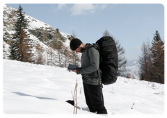 В Саяно-Шушенском заповеднике завершились зимние маршрутные учёты