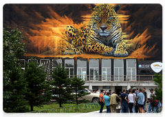Граффити с дальневосточным леопардом во Владивостоке