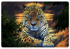 Graffiti image of the Far Eastern leopard