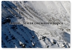 Snow leopard documentary filmed in Altai