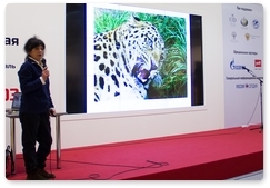 Координатор программы размножения леопардов: У Николая всё в порядке