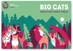 «Большие кошки: хищники под угрозой» − тема Всемирного дня дикой природы − 2018