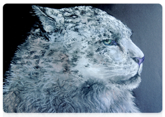 Works by winners of the sixth My Snow Leopard festival