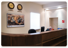 Amur Tiger Centre headquarters in Moscow