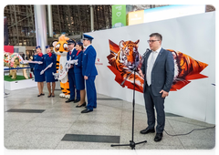 Rossiya Airlines tiger plane marks its third anniversary. Amur Tiger Centre