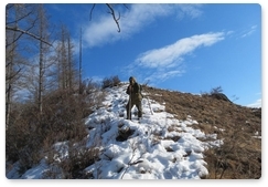 Winter counts end at Sayano-Shushensky Biosphere Reserve