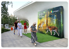 Международный день тигра в парке «Зарядье» 27 июля. Фото – Александра Агранат