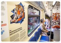 The Striped Express decorated with Amur tiger images