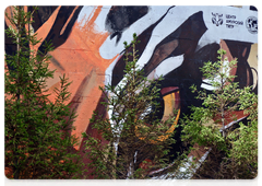 The new Amur tiger mural near the Turgenevskaya metro station in Moscow