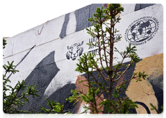 The purpose of the mural is to draw public attention to Amur tiger conservation and ways to protect the tigers
