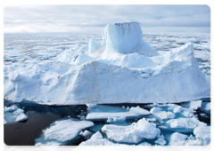 A bear on an iceberg. Photo by Ivan Mizin