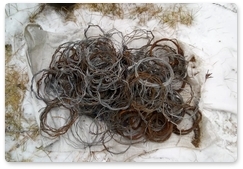 Over 200 metal traps destroyed in Sayano-Shushensky Biosphere Reserve