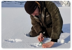 Winter route census conducted in Sayano-Shushensky nature reserve