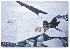 В Якутии начался первый этап проекта «Хозяин Арктики – 2021»