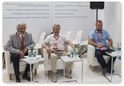 Kazan Summit participants discuss snow leopard conservation