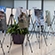 Photo exhibition dedicated to the protection of the Amur tiger