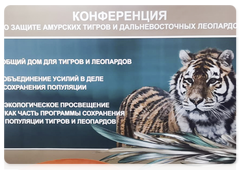 Состоялась российско-китайская онлайн конференция по вопросам охраны амурских тигров и дальневосточных леопардов