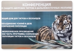 Состоялась российско-китайская онлайн-конференция по вопросам охраны амурских тигров и дальневосточных леопардов