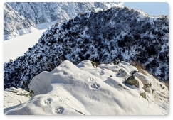 Winter route census begins in Sayano-Shushensky Reserve