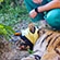 Puncture wounds to the soft tissue on the tiger cub's lower jaw caused the muscle and skin tissues to die